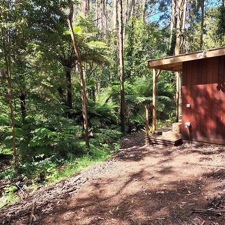 The Fernglen Forest Retreat Mount Dandenong Zewnętrze zdjęcie