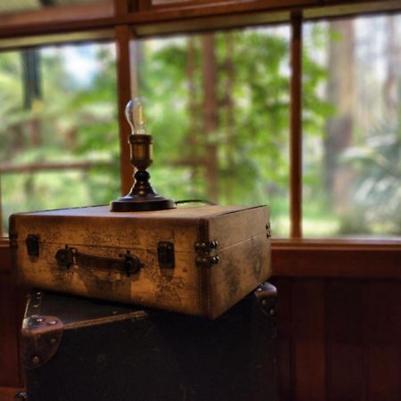 The Fernglen Forest Retreat Mount Dandenong Zewnętrze zdjęcie