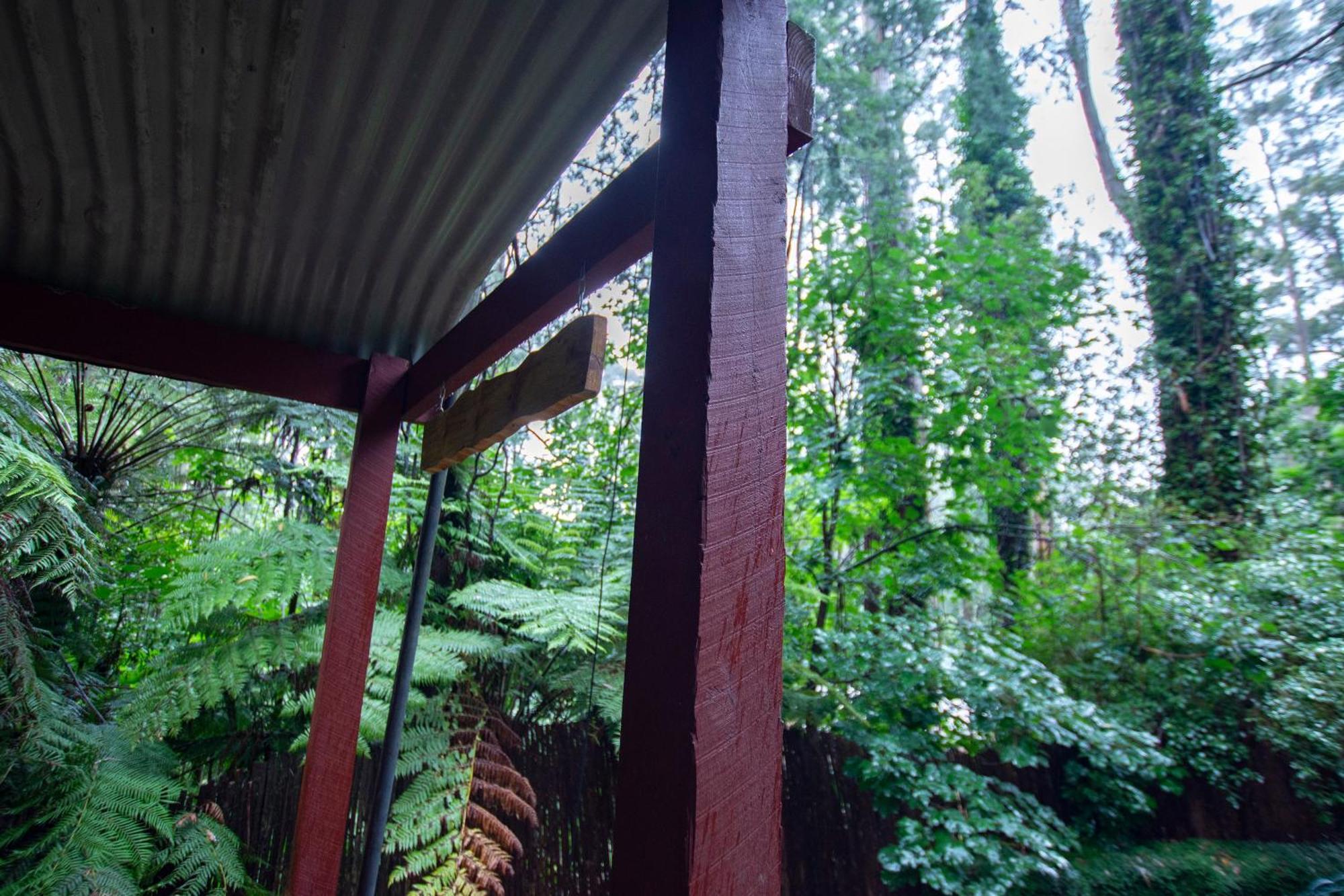 The Fernglen Forest Retreat Mount Dandenong Zewnętrze zdjęcie