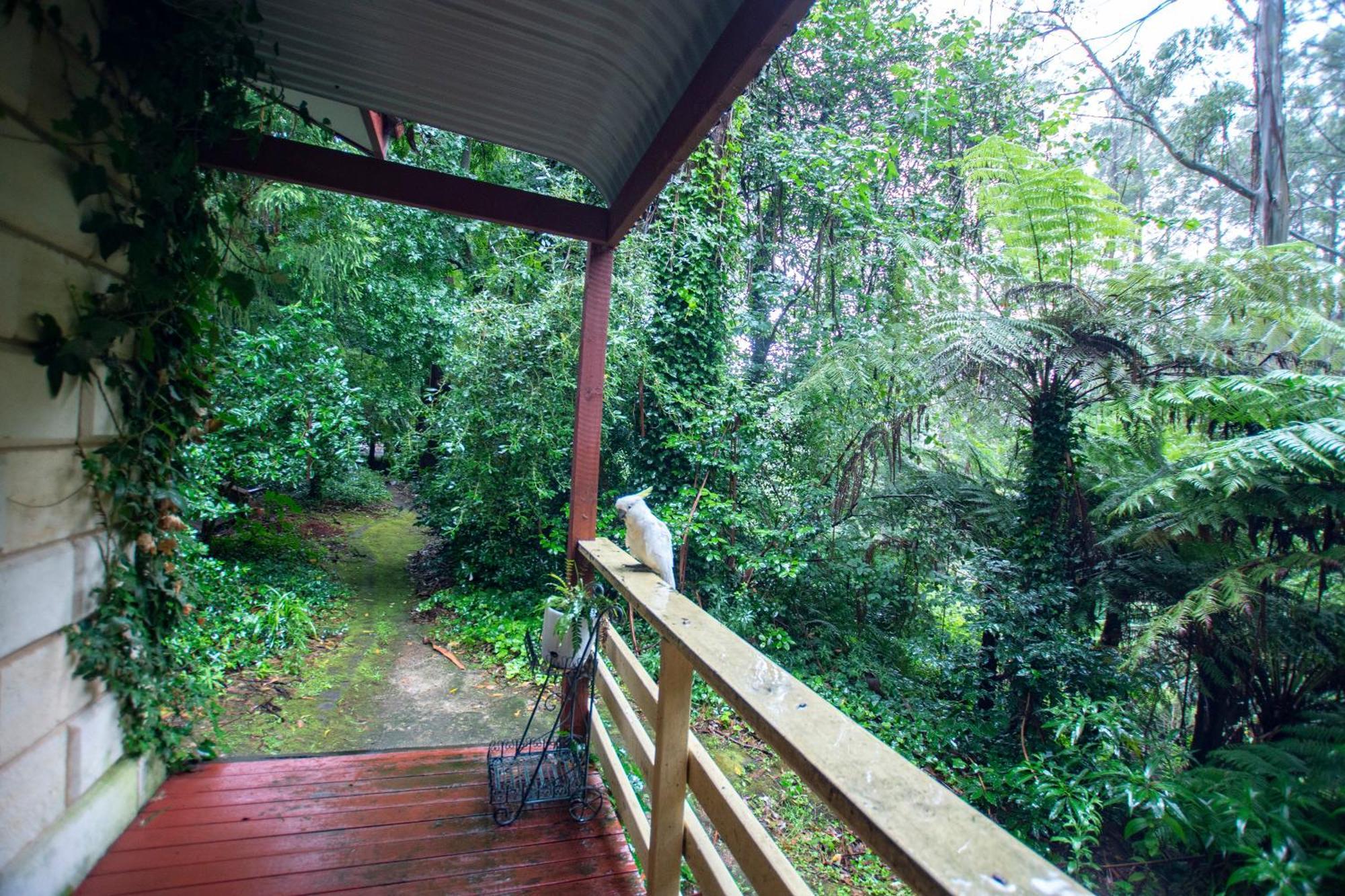 The Fernglen Forest Retreat Mount Dandenong Zewnętrze zdjęcie