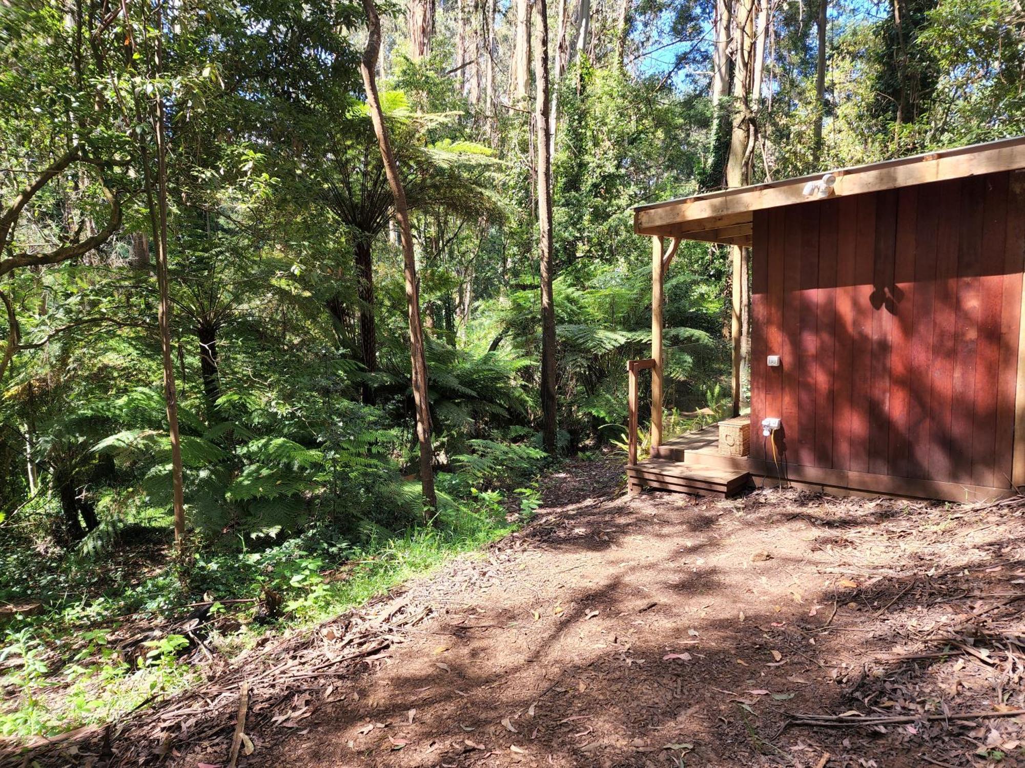 The Fernglen Forest Retreat Mount Dandenong Zewnętrze zdjęcie