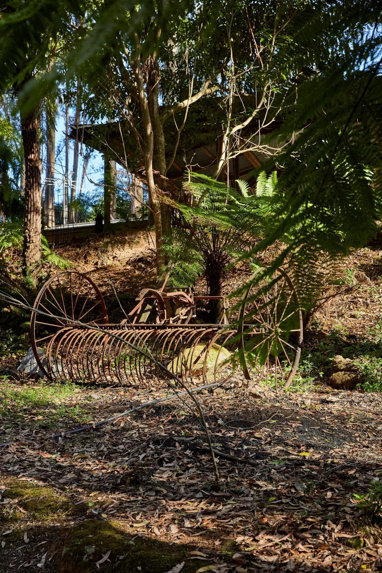 The Fernglen Forest Retreat Mount Dandenong Zewnętrze zdjęcie