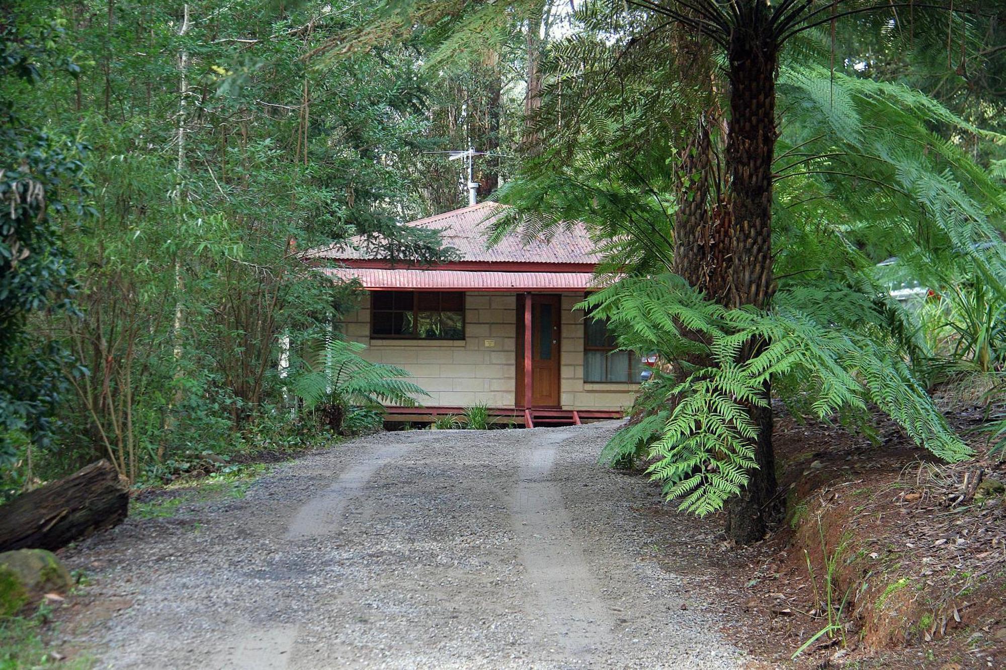 The Fernglen Forest Retreat Mount Dandenong Zewnętrze zdjęcie
