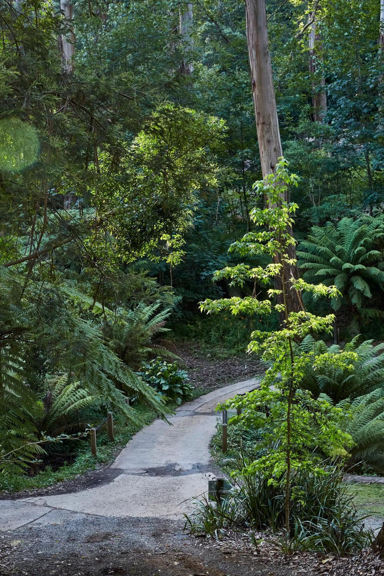 The Fernglen Forest Retreat Mount Dandenong Zewnętrze zdjęcie