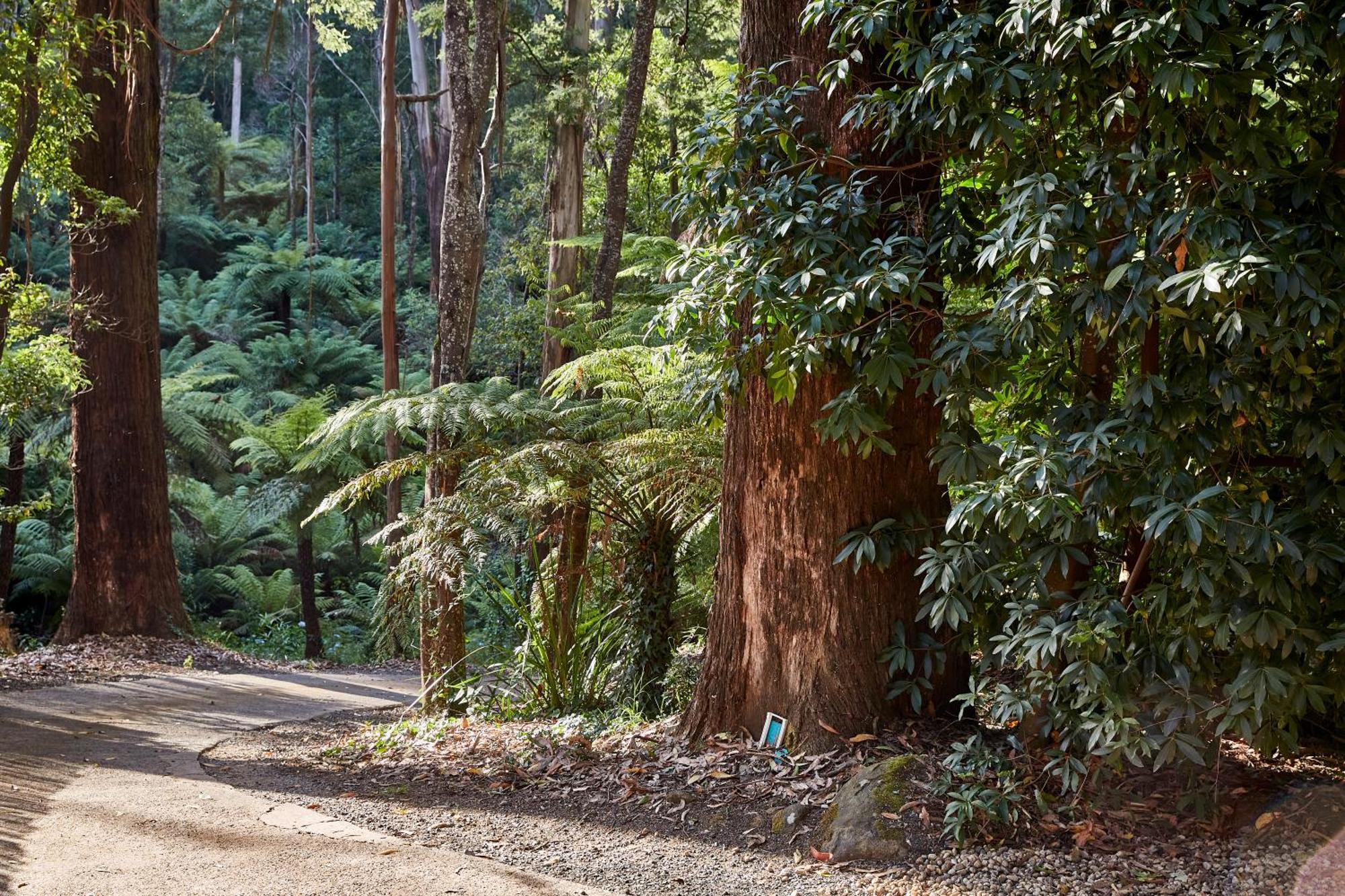 The Fernglen Forest Retreat Mount Dandenong Zewnętrze zdjęcie